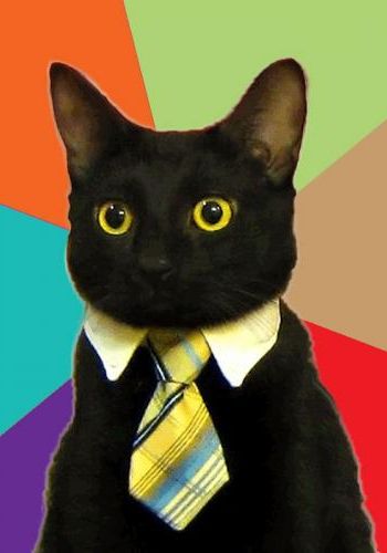 business-cat.jpg