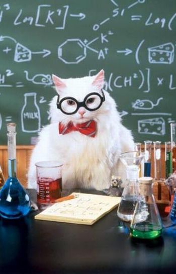 chemistry-cat.jpg