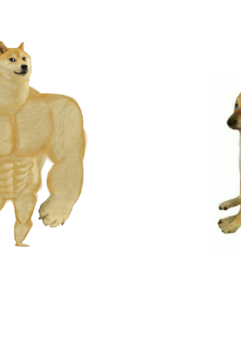 doge-vs-cheems.png