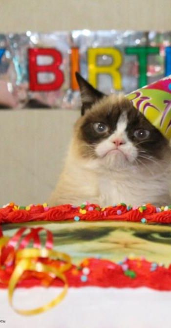 grumpy-cat-birthday.jpg