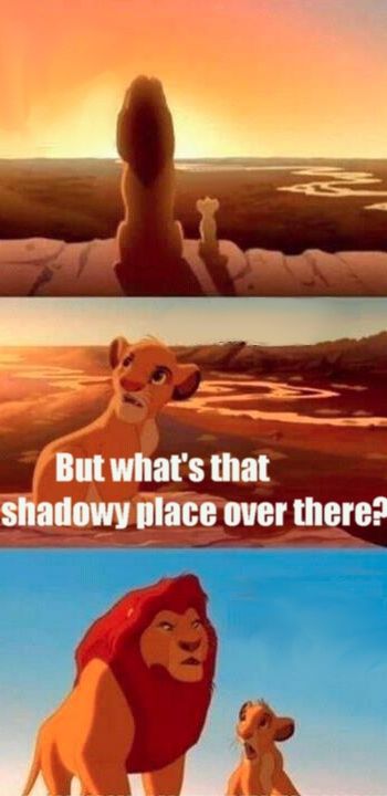 simba-shadowy-place.jpg