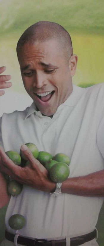 why-cant-i-hold-all-these-limes.jpg